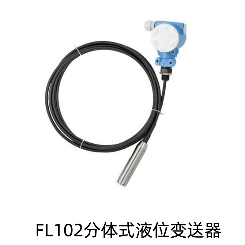 FL102分体式液位变送器